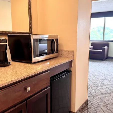 Holiday Inn Birmingham-Airport By Ihg-2