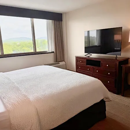 Holiday Inn Birmingham-Airport By Ihg-3