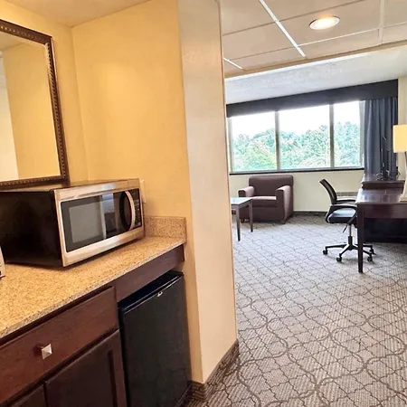 Holiday Inn Birmingham-Airport By Ihg-2